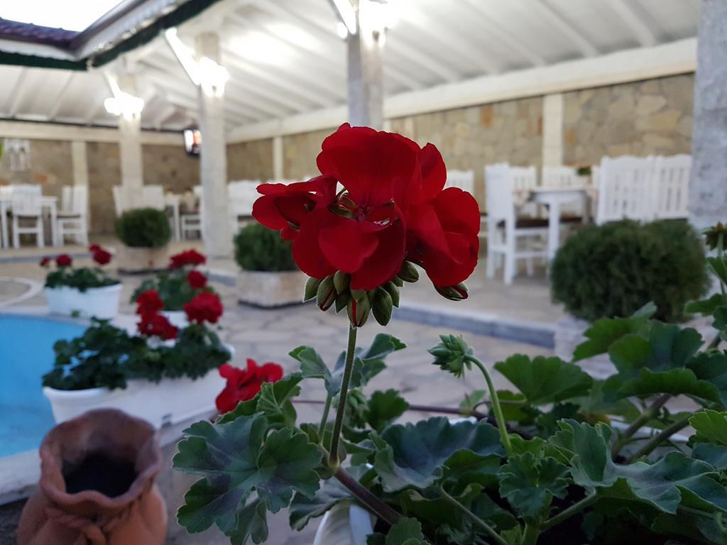 Hotel Fantasy Ljubimec Kültér fotó